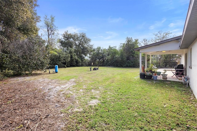 view of yard featuring a patio