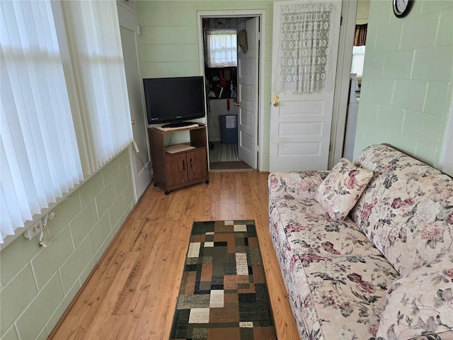 living room with light hardwood / wood-style flooring