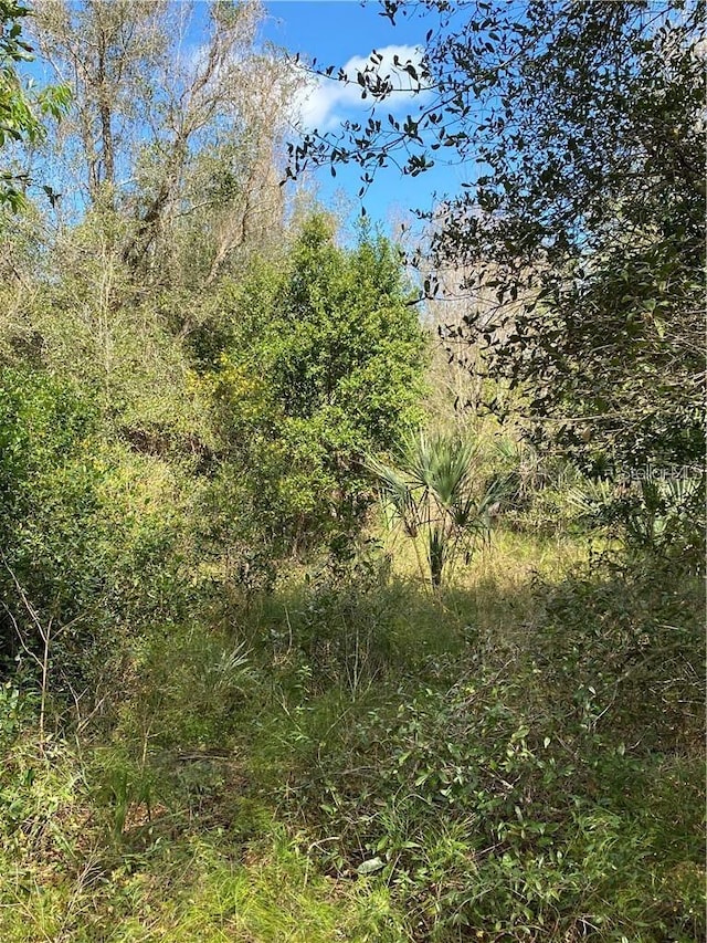 W Beresford Rd, Deland FL, 32720 land for sale