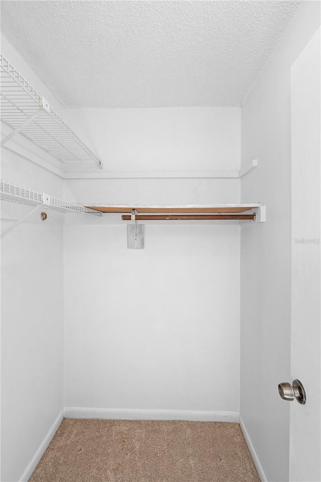 walk in closet featuring carpet floors