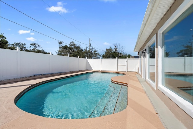 view of pool with a fenced backyard and a fenced in pool