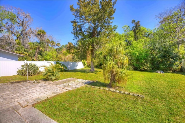 741 Greenway Pl, Daytona Beach, FL 32114 - view of yard with a patio