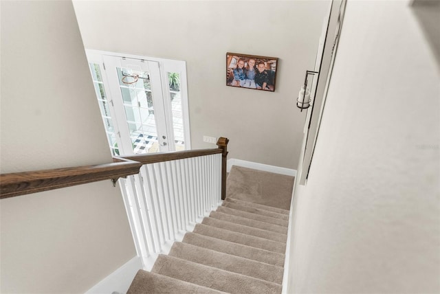 32924 Estate Garden Dr, Wesley Chapel, FL 33545 - stairs featuring carpet and baseboards