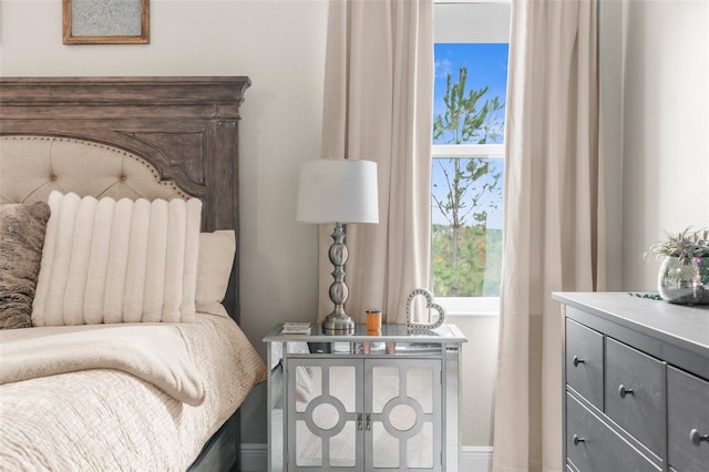 32924 Estate Garden Dr, Wesley Chapel, FL 33545 - view of bedroom