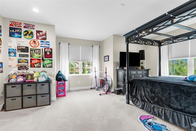 32924 Estate Garden Dr, Wesley Chapel, FL 33545 - bedroom with baseboards and light colored carpet