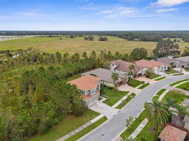 32924 Estate Garden Dr, Wesley Chapel, FL 33545 - drone / aerial view featuring a residential view