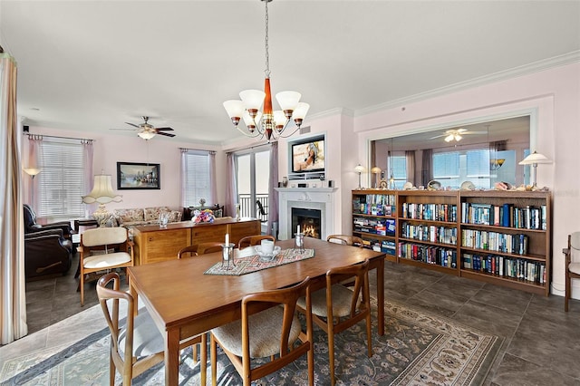 dining room with ceiling fan with notable chandelier, a lit fireplace, and crown molding