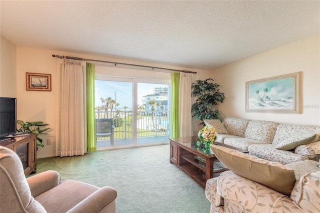 carpeted living area with a textured ceiling