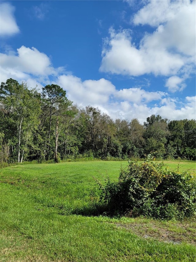 213 Clifton Rd, Crescent City, FL 32112 - photo 29