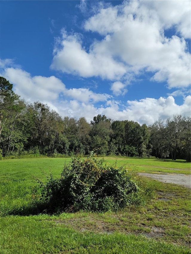 213 Clifton Rd, Crescent City, FL 32112 - photo 30