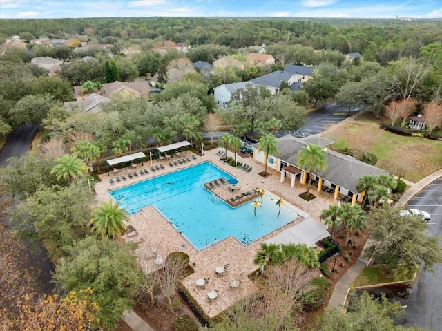 view of swimming pool