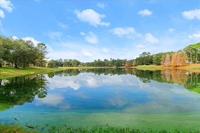 view of water feature