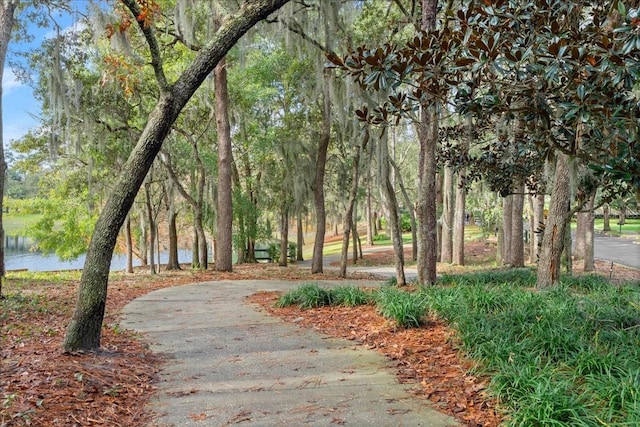 view of community featuring a water view