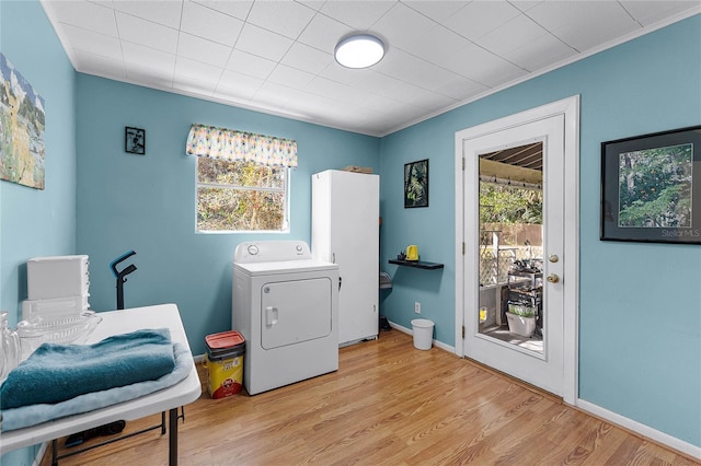 washroom featuring washer / dryer, a wealth of natural light, laundry area, and light wood-style flooring