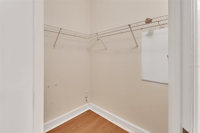 spacious closet featuring light wood-style flooring