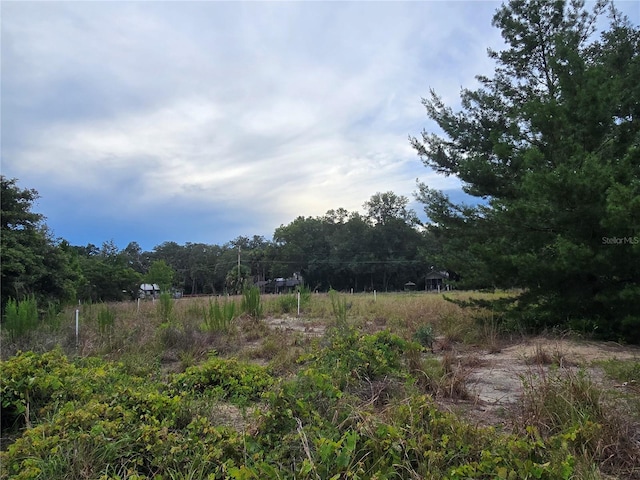Harper Rd, Pierson, FL 32180 - photo 2