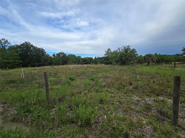 Harper Rd, Pierson, FL 32180 - photo 1