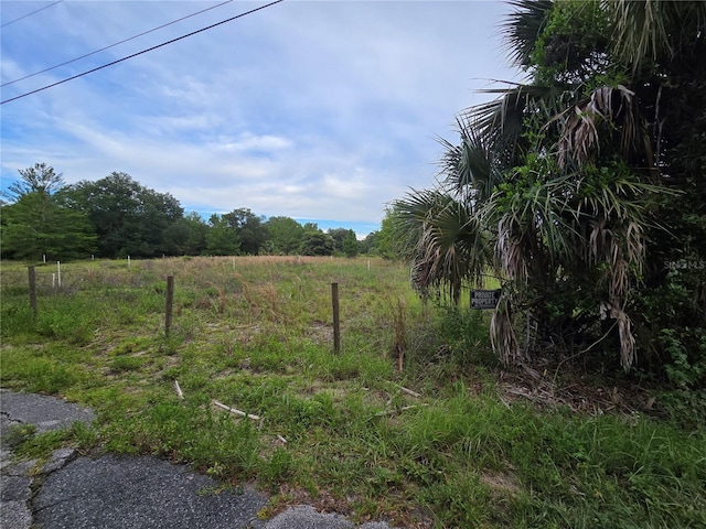 Harper Rd, Pierson, FL 32180 - photo 4