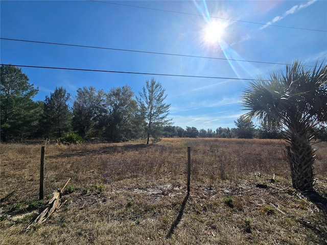 Harper Rd, Pierson, FL 32180 - photo 10