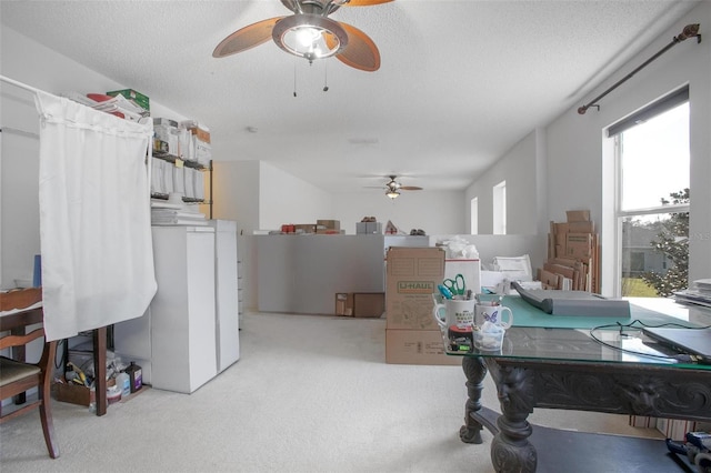 interior space featuring a ceiling fan, carpet flooring, and a textured ceiling