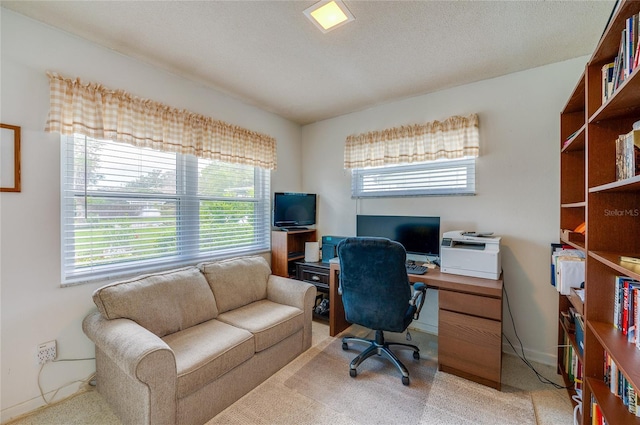 office featuring light carpet, a textured ceiling, and baseboards