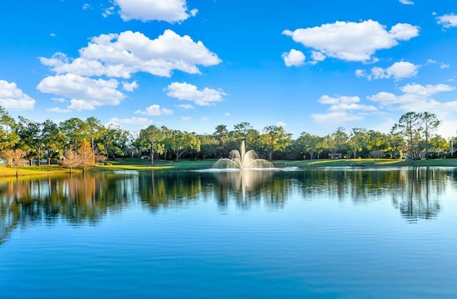 property view of water