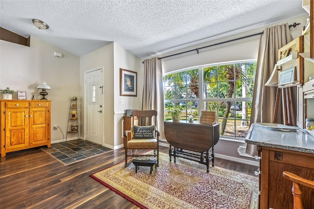 living area with dark wood-type flooring, lofted ceiling, a textured ceiling, and baseboards