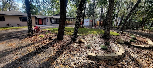 view of yard featuring an attached carport