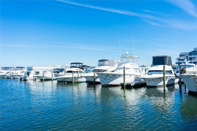 dock area featuring a water view