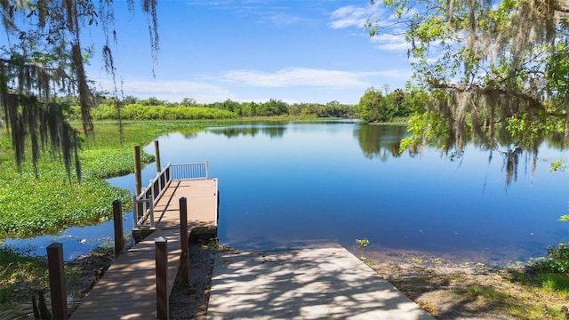 100 Via Rosa Ct, Debary, FL 32713 - photo 34