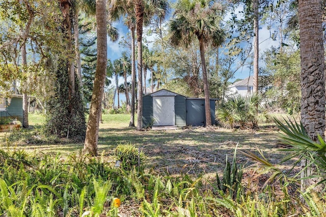 view of yard with a storage unit and an outdoor structure