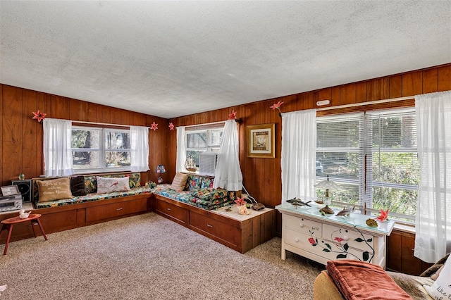 living room with a textured ceiling, wood walls, and carpet flooring