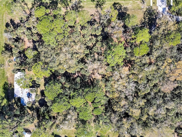 aerial view with a view of trees