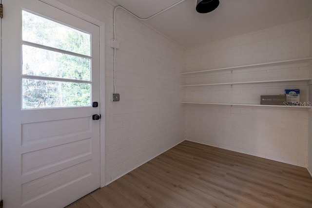 entryway featuring wood finished floors