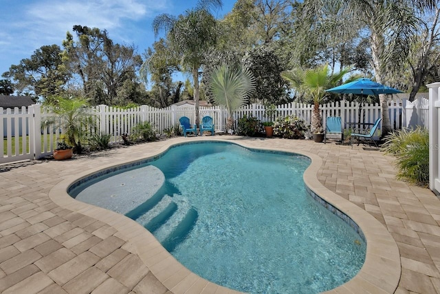 view of swimming pool featuring a fenced backyard, a fenced in pool, and a patio