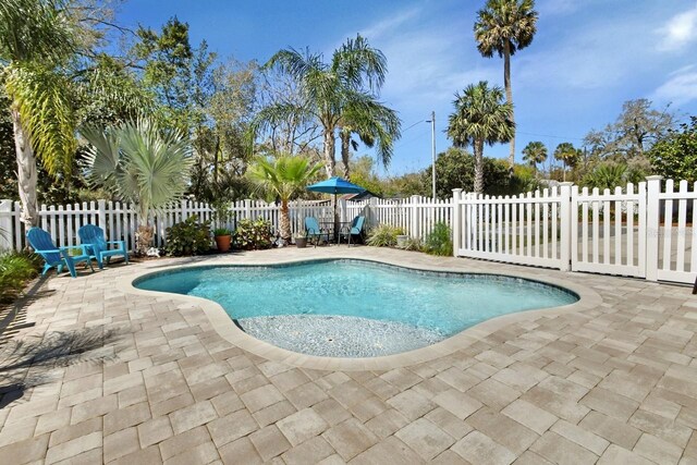 view of swimming pool featuring a fenced backyard, a fenced in pool, and a patio