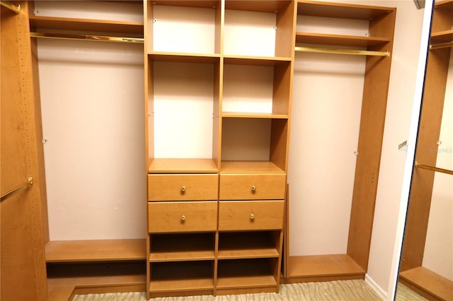 view of closet