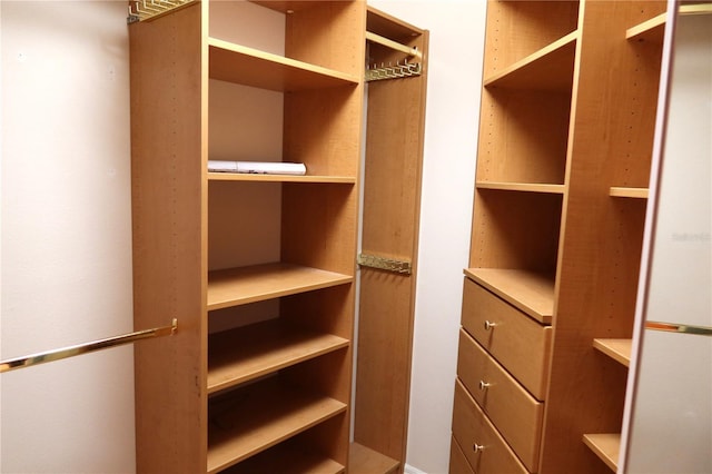 view of walk in closet