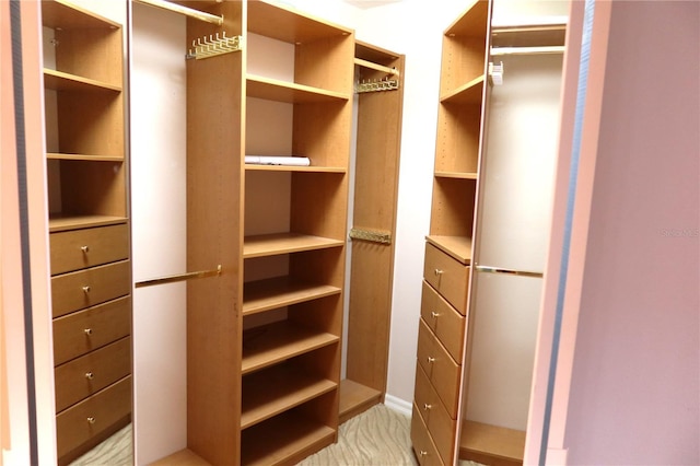 view of walk in closet