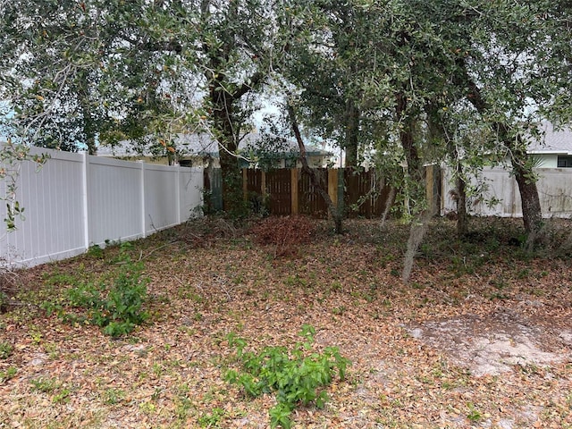 view of yard featuring a fenced backyard