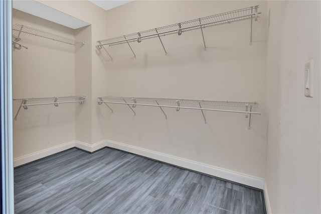 walk in closet featuring wood finished floors