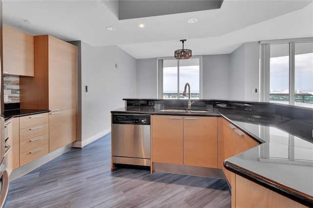 kitchen featuring a sink, plenty of natural light, light brown cabinets, and stainless steel dishwasher