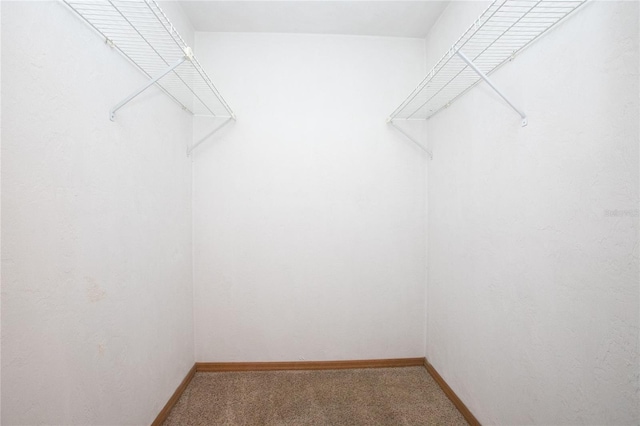 spacious closet with light carpet