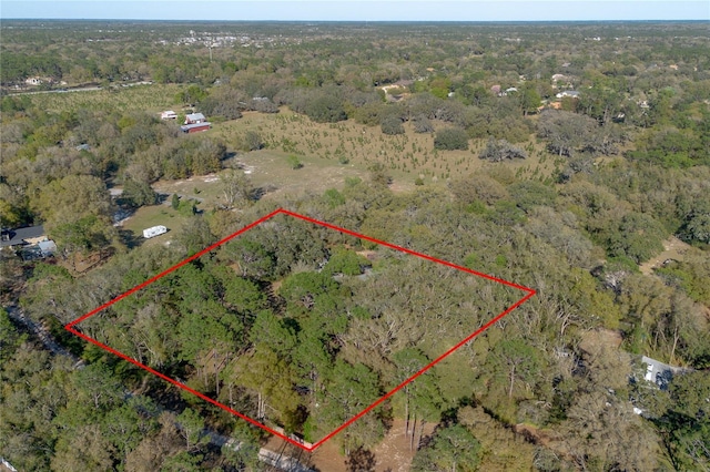 aerial view with a forest view