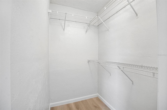 1986 Big Oak Dr, South Daytona, FL 32119 - walk in closet featuring light wood-type flooring