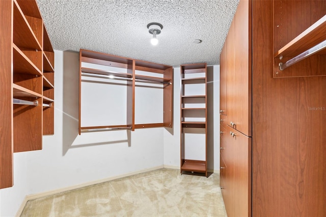 walk in closet with carpet floors