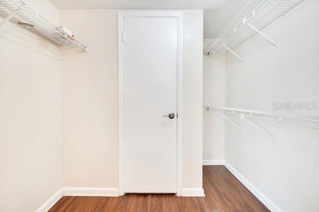 spacious closet featuring wood finished floors