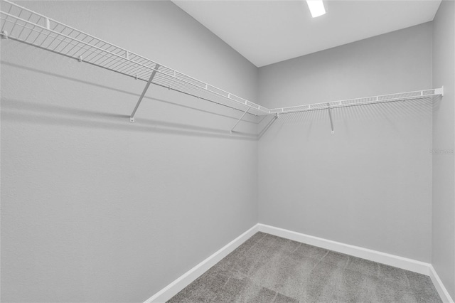 1329 N Old Mill Dr, Deltona, FL 32725 - walk in closet with carpet