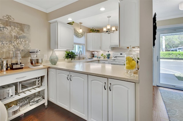 kitchen with white cabinetry, electric range, dark wood-style flooring, and ornamental molding