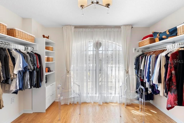 walk in closet featuring wood finished floors